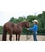Western Rawhide Training Stick Noir