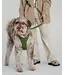 Dexypaws Laisse Imperméable en Biothane Vert Camouflage