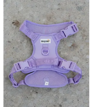 Dexypaws Harnais de Marche No-Pull Lilas pour Chien