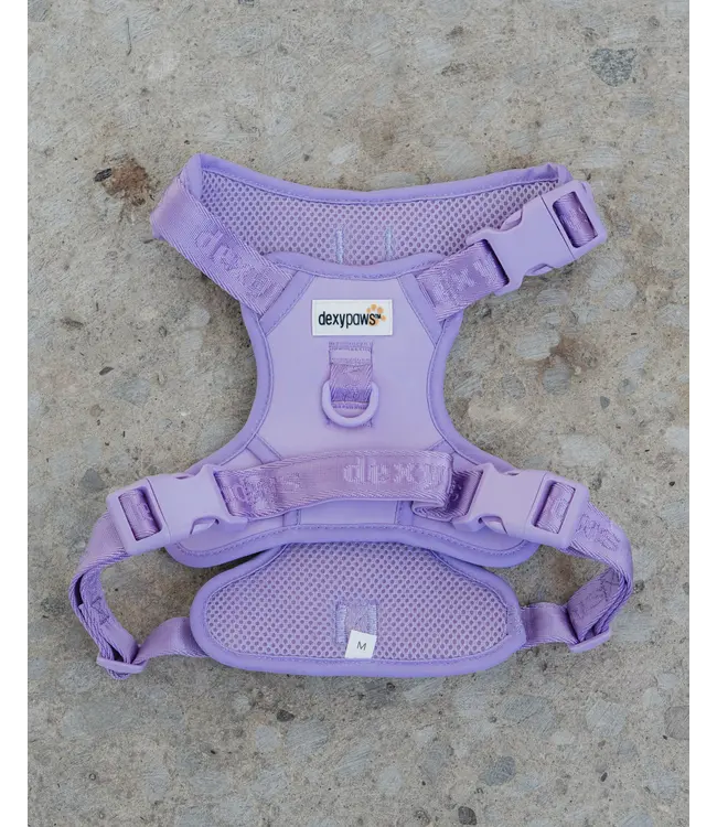 Dexypaws Harnais de Marche No-Pull Lilas pour Chien