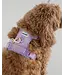 Dexypaws Harnais de Marche No-Pull Lilas pour Chien