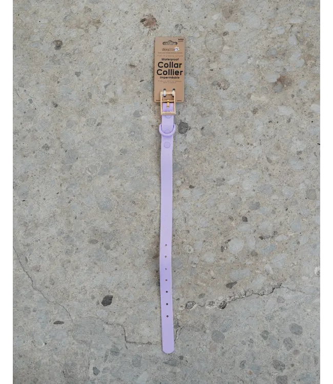Dexypaws Lilac Waterproof Dog Collar
