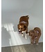 Dexypaws Harnais de Marche No-Pull Lilas pour Chien