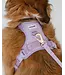 Dexypaws Laisse Imperméable en Biothane Lilas