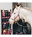 Weaver Licou en Nylon 1'' Ajustable Aztec Plaid