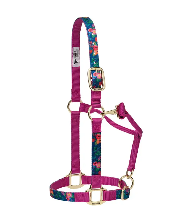 Weaver Licou en Nylon 1'' Ajustable Floral Watercolor