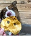 Redbarn Pig Snouts