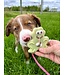Bosco & Roxy's Ribbit Fly Catcher Handmade Spring Cookies