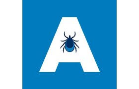 Atlantick