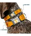 Buckle Down Collier en Nylon SeatBelt Yellowstone Cowboy Up
