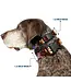Buckle Down Collier en Nylon Plastic Clip Winnie the Pooh