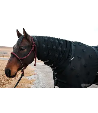 Eleven11 Equine Cou MagnetXmotion Amovible Noir