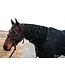 Eleven11 Equine Black Magnetic Neck Cover