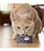 Oven-Baked Tradition Duck Grain-Free Pâté for Adult Cats