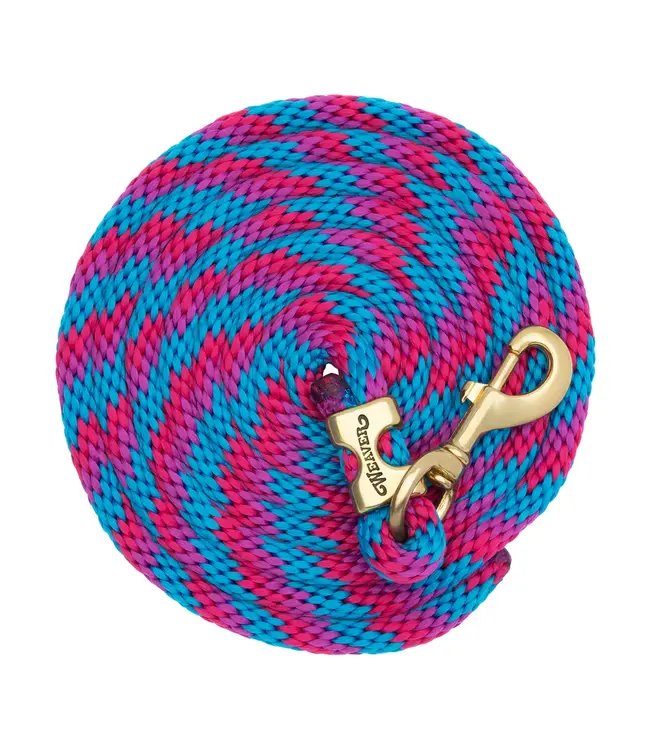 Weaver Laisse Value Rope en Brass Ribbon