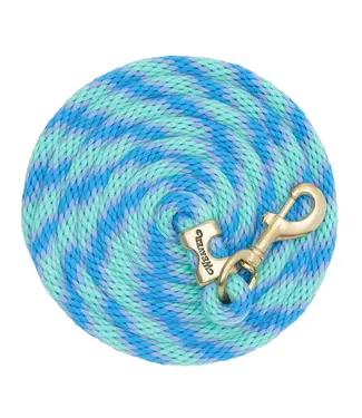 Weaver Laisse Value Rope en Brass Spiral