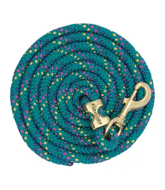 Weaver Poly Lead Rainbow Rope with Brass Snap