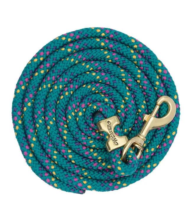 Weaver Laisse Value Rope en Brass Rainbow