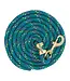 Weaver Laisse Value Rope en Brass Rainbow