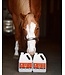 Equine revolution WINNER-ER Equine Joint Health ER Support
