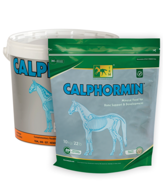 TRM Calphormin Croissance chez le Poulain