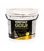 TRM Électrolytes Everyday Gold