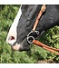 Professional's Choice Mors Route 66 DogBone