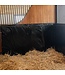 Kentucky Horsewear Kick Pad