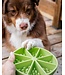 Dog's Crush Citrus Interactive Dog Slow Feeder
