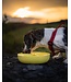 Dog's Crush Citrus Interactive Dog Slow Feeder