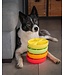 Dog's Crush Citrus Interactive Dog Slow Feeder