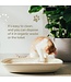 Almo Nature Clumping Ultra-Fine Natural Texture Cat Litter