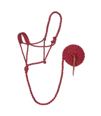 Weaver Licou Braided Rope avec Lead de 10'