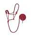 Weaver Licou Braided Rope avec Lead de 10'