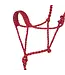 Weaver Licou Braided Rope avec Lead de 10'