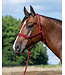 Weaver Braided Rope Halter w/ 10' Lead