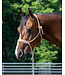 Weaver Braided Rope Halter w/ 10' Lead