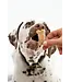 Winnie Lou Biscuits Artisanaux Happy Birthday