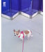 RC Pets Harnais '' Petite '' Explorer Frida
