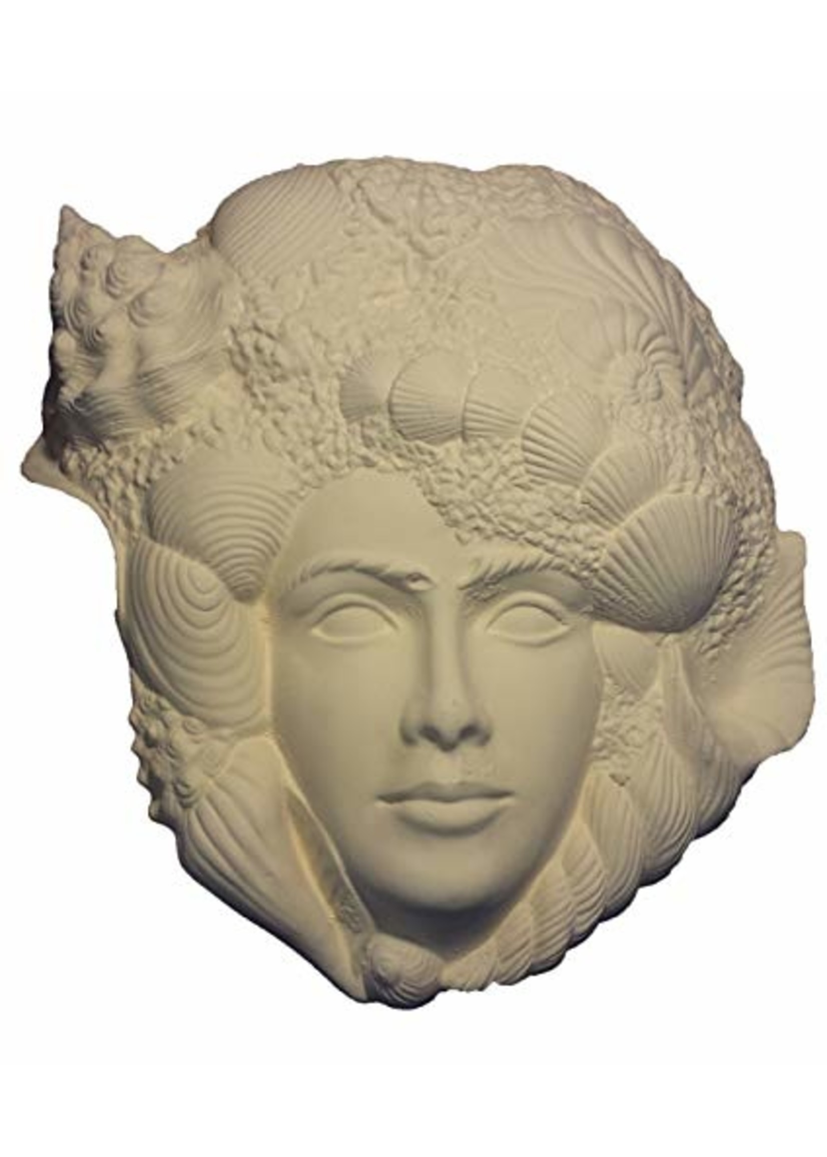 Creative Kreations Ceramics and Gifts Seashell Wall Plaque 13" Ceramic Bisque, Ready to Paint