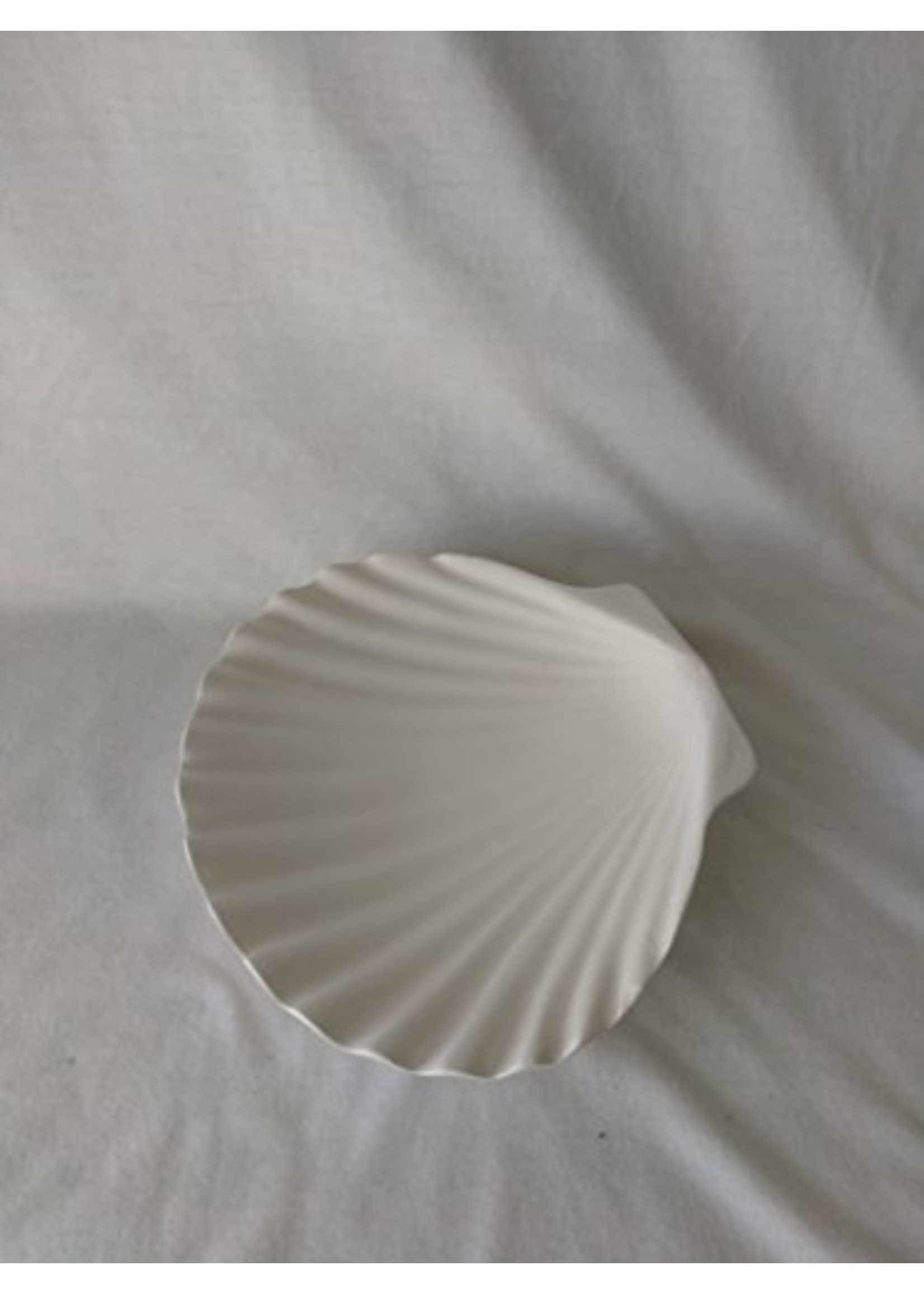 Creative Kreations Ceramics and Gifts Seashell Soap Dish Ceramic Bisque, Ready to Paint