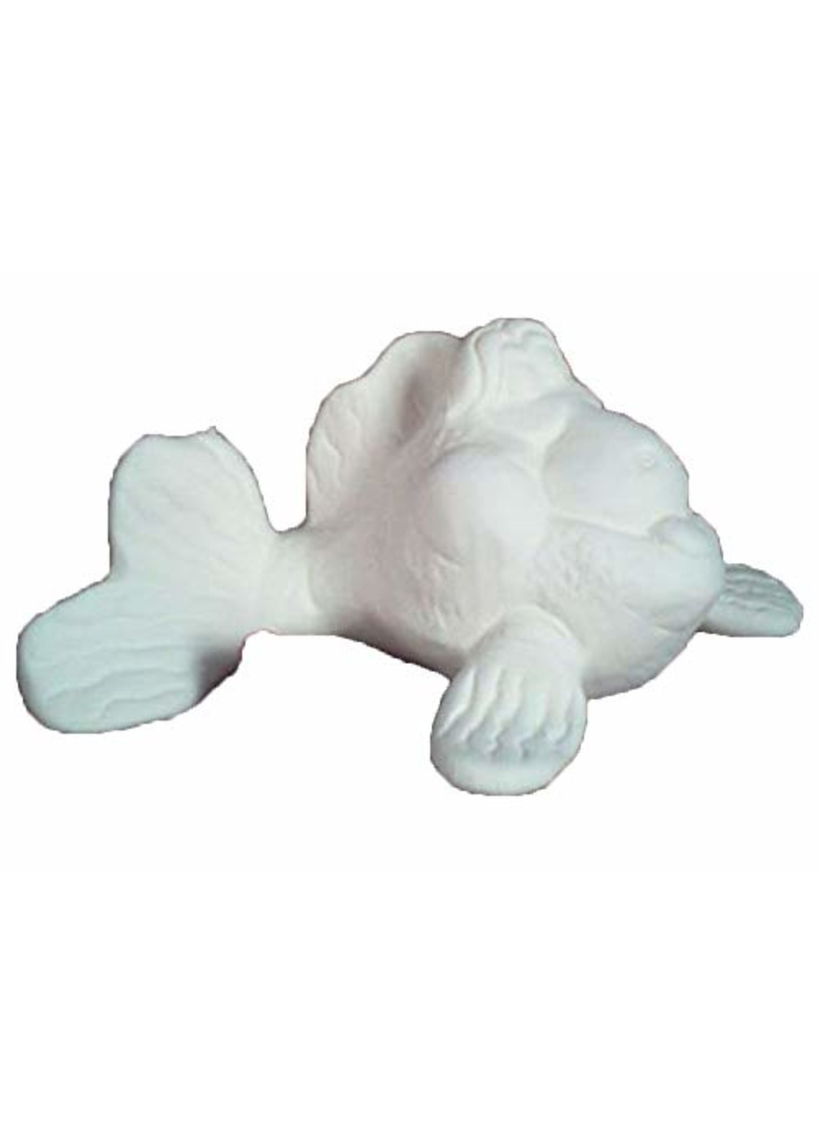 Creative Kreations Ceramics and Gifts Fish"Hurrycane" 3"x 5" Ceramic Bisque Ready to Paint