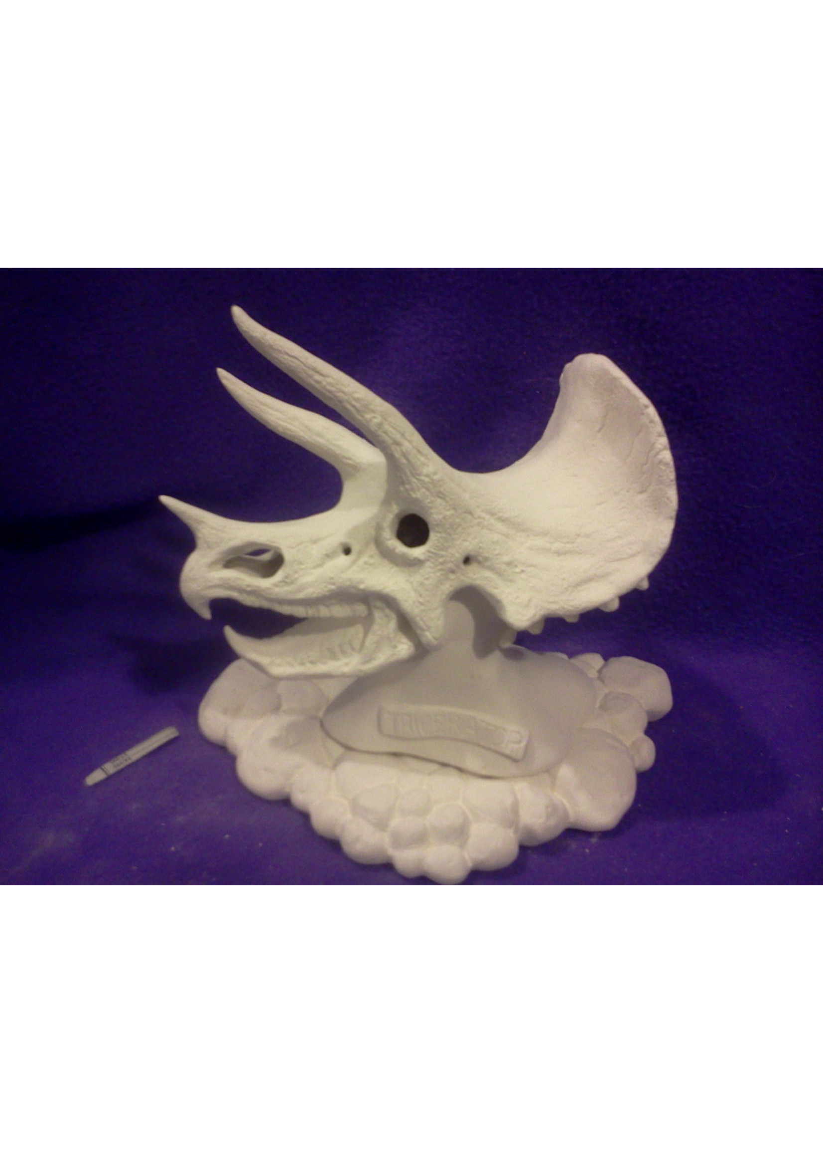 Creative Kreations Ceramics and Gifts Triceratops Skull 7" Ceramic Bisque, ready to paint