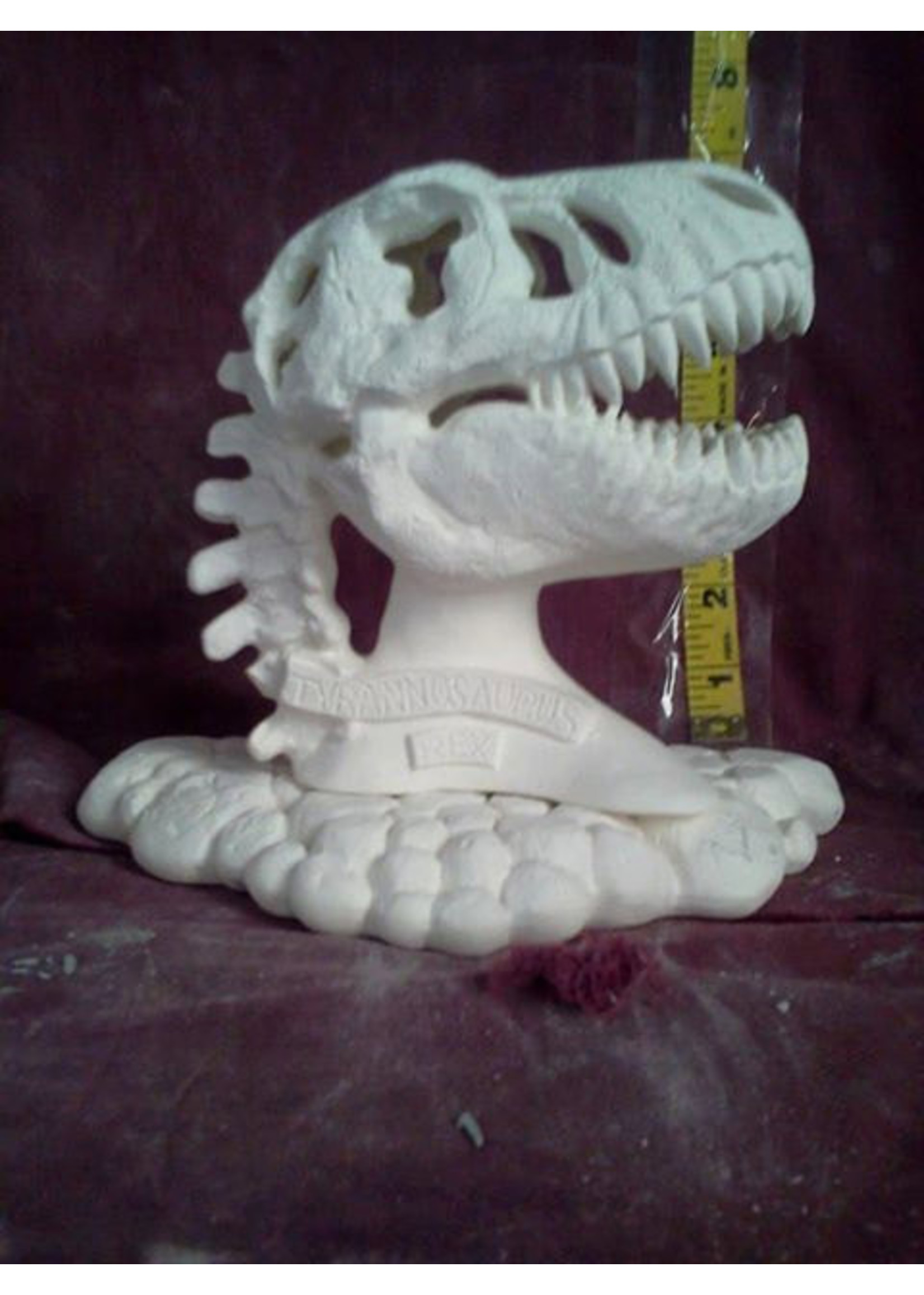 Creative Kreations Ceramics and Gifts T Rex Skull 6 1/2" x 6" Ceramic Bisque, Ready to Paint