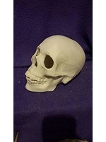 Creative Kreations Ceramics and Gifts Skull Realistic Human 7" Ceramic Bisque, Ready to Paint