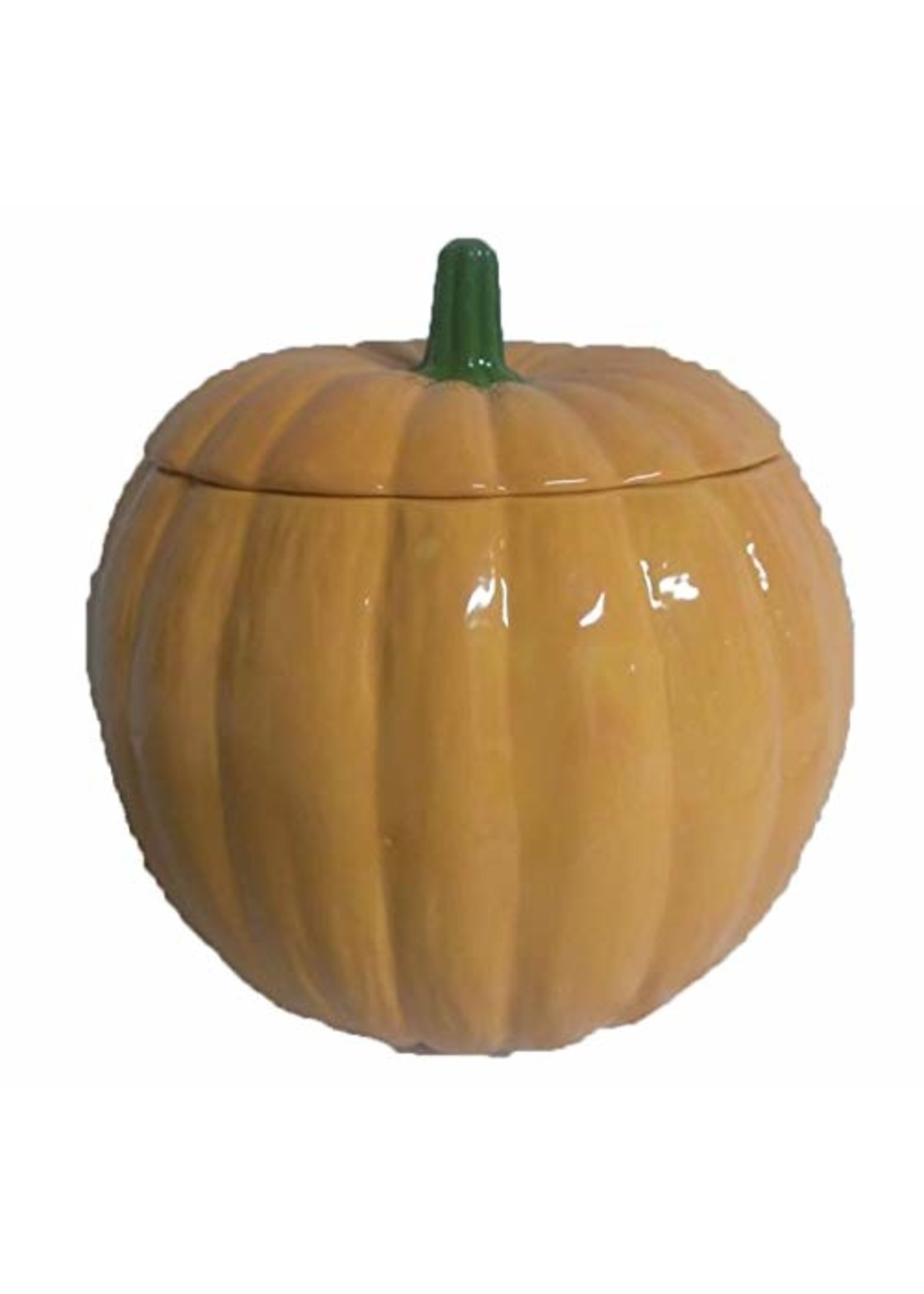 Creative Kreations Ceramics and Gifts Pumpkin Candy Dish / Container Glaze Finished 8" tall x 5"