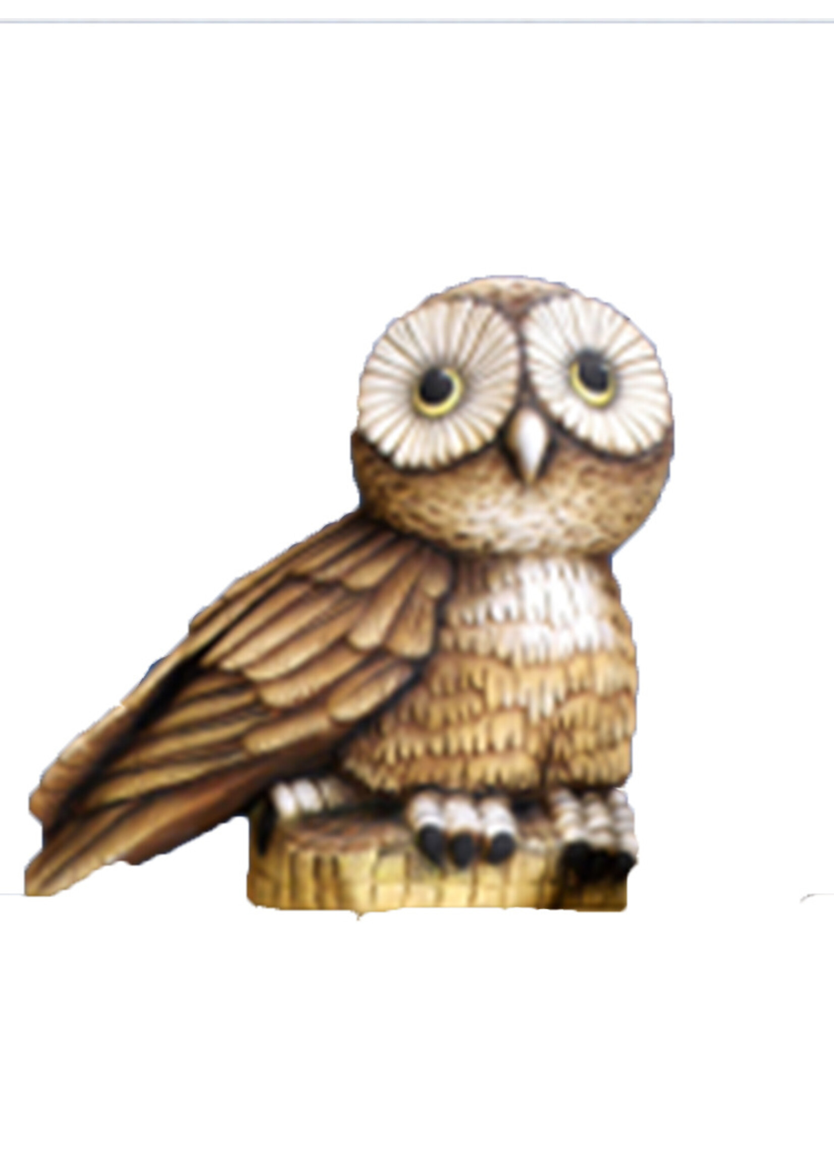 Creative Kreations Ceramics and Gifts Male Owl 7" Ceramic Bisque, Ready to Paint