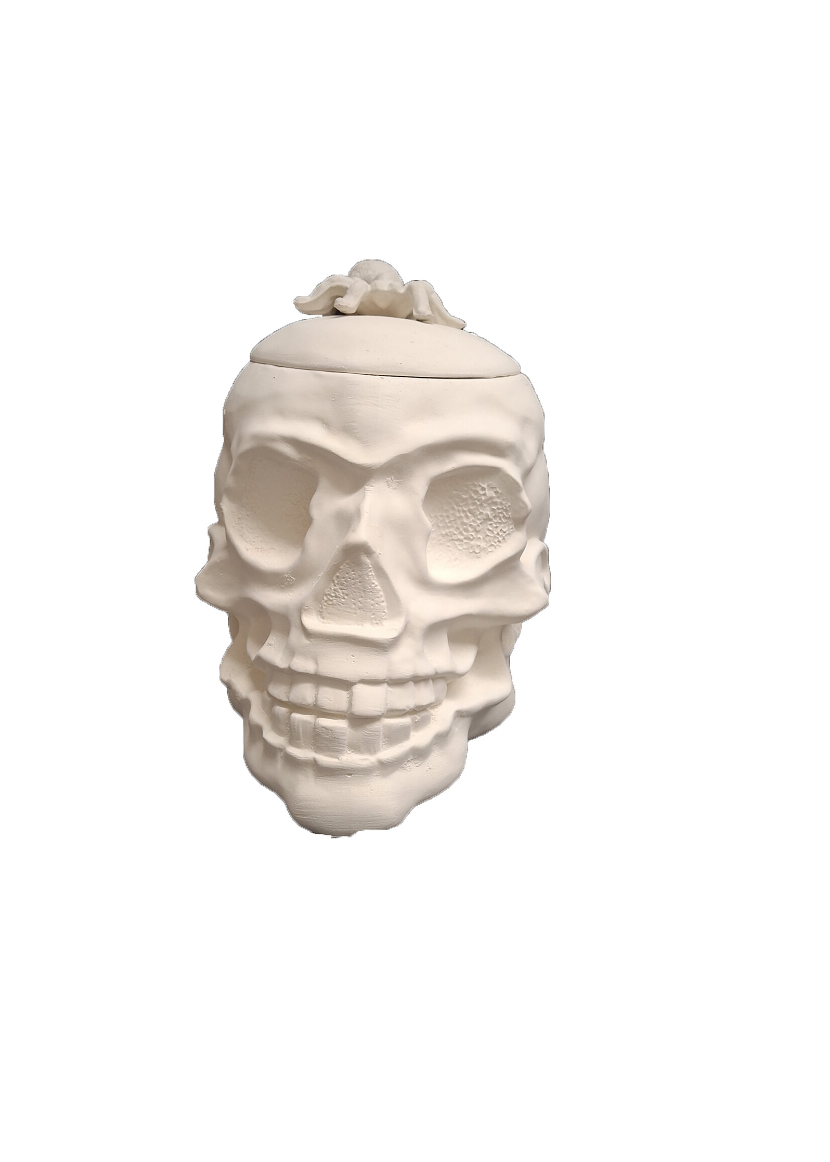 Creative Kreations Ceramics and Gifts Skull Canister Ceramic Bisque, Ready to Paint glazed inside