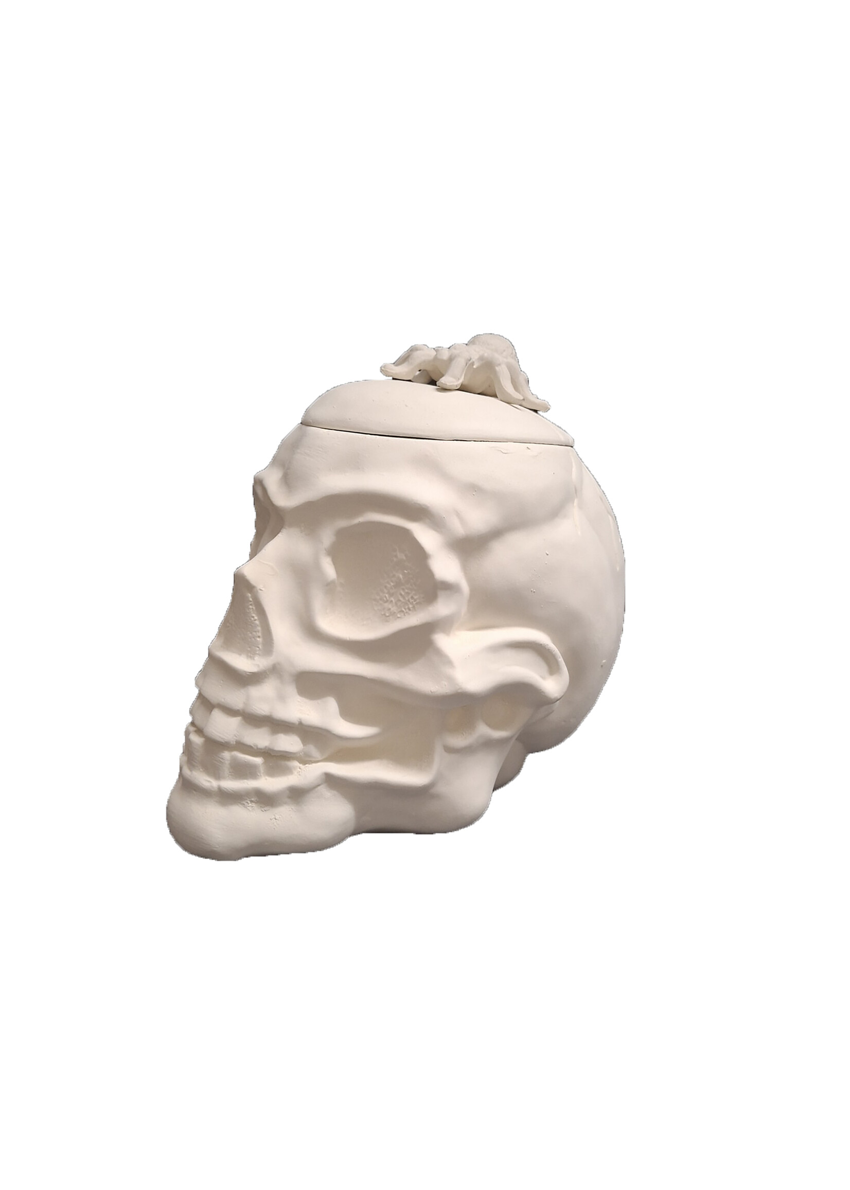 Creative Kreations Ceramics and Gifts Skull Canister Ceramic Bisque, Ready to Paint glazed inside