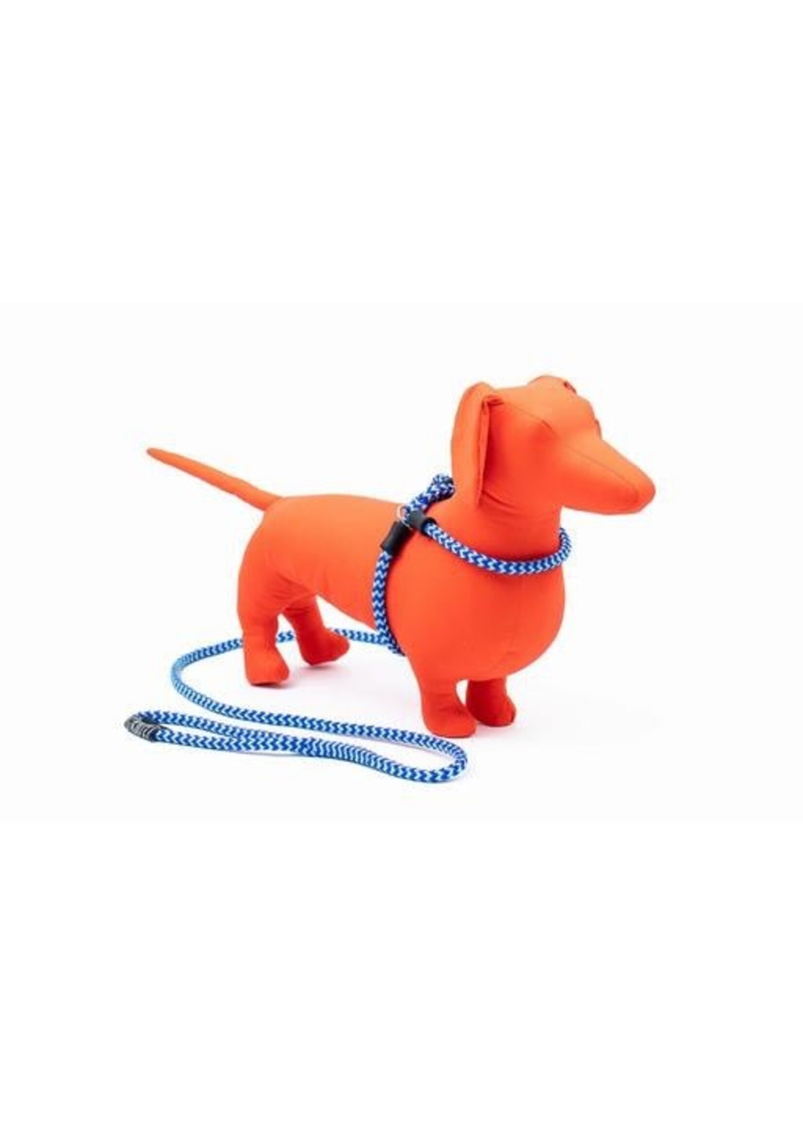 Puppy harness and lead discount